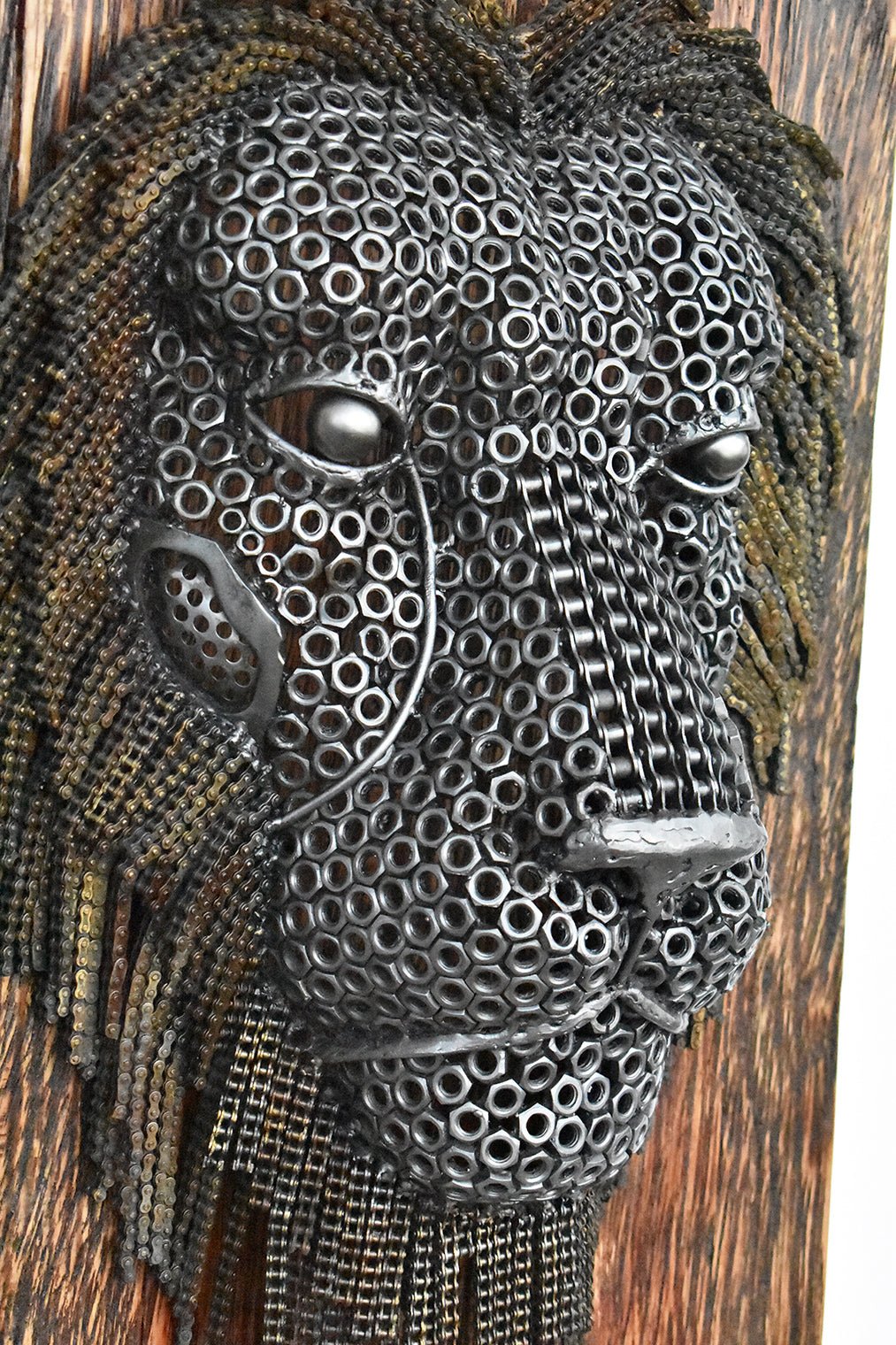Lion Face on Wood