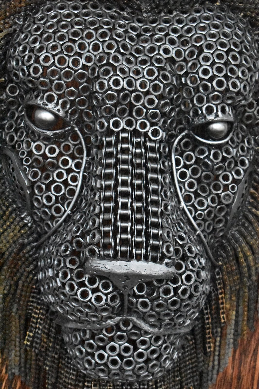 Lion Face on Wood